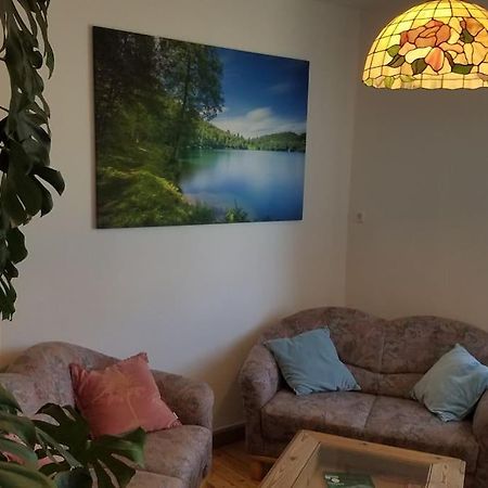 Ferienwohnung Alte-Schule-Kail Wohnung 2 외부 사진