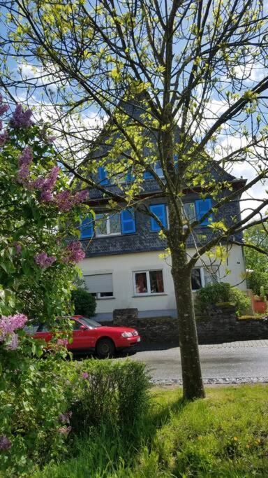Ferienwohnung Alte-Schule-Kail Wohnung 2 외부 사진