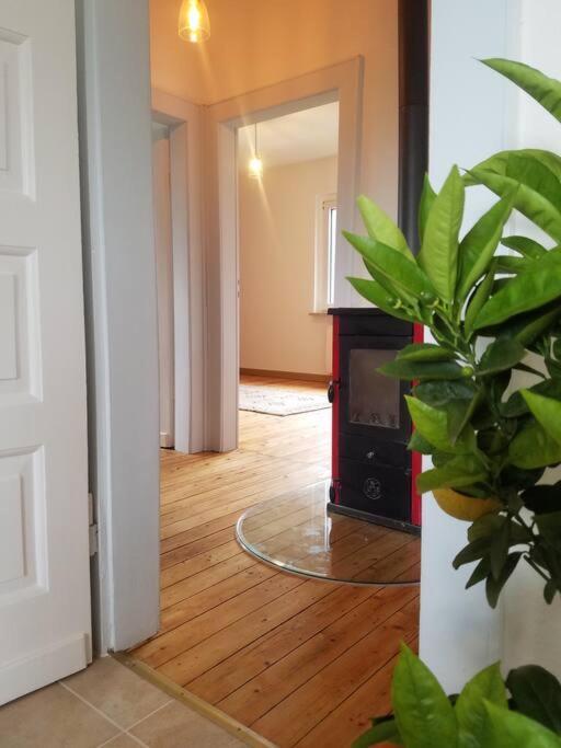 Ferienwohnung Alte-Schule-Kail Wohnung 2 외부 사진