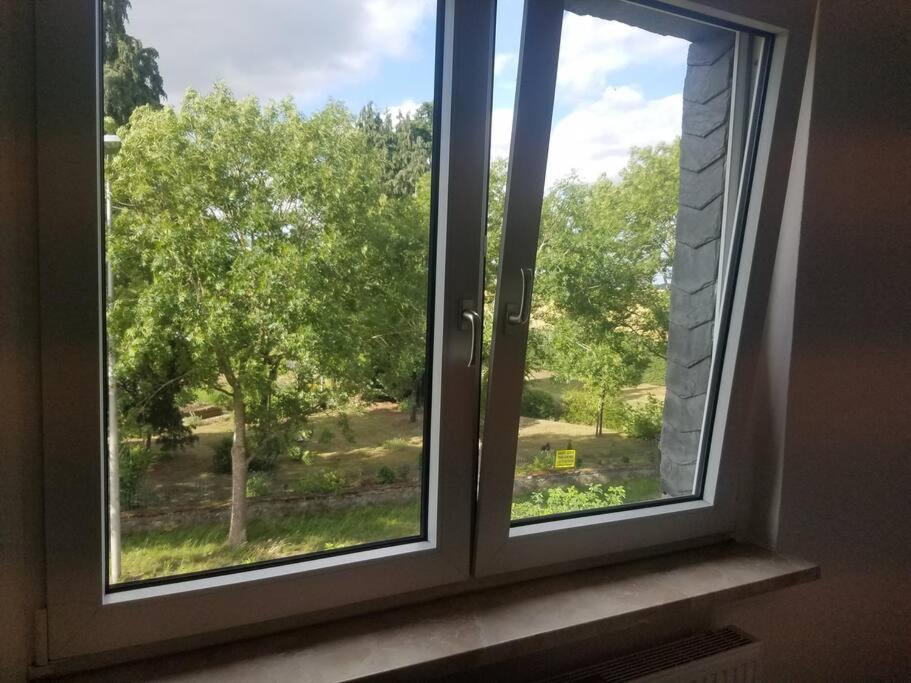 Ferienwohnung Alte-Schule-Kail Wohnung 2 외부 사진